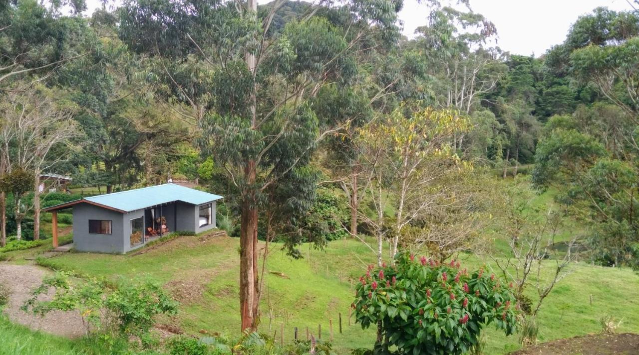 Olingo Monteverde Exterior foto